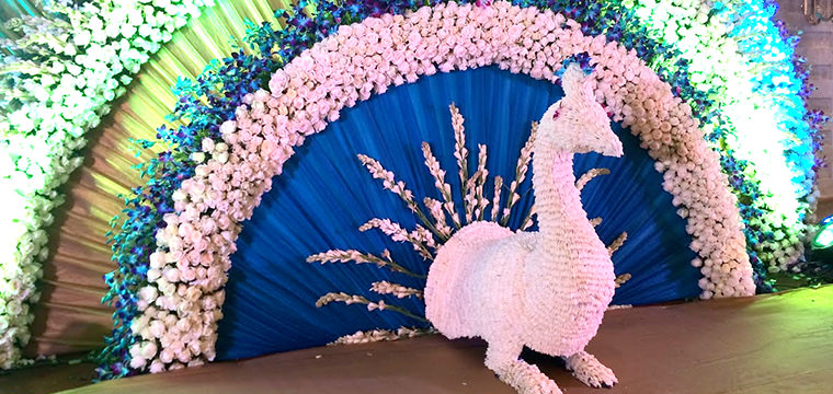 Peacock made of flowers as stage backdrop